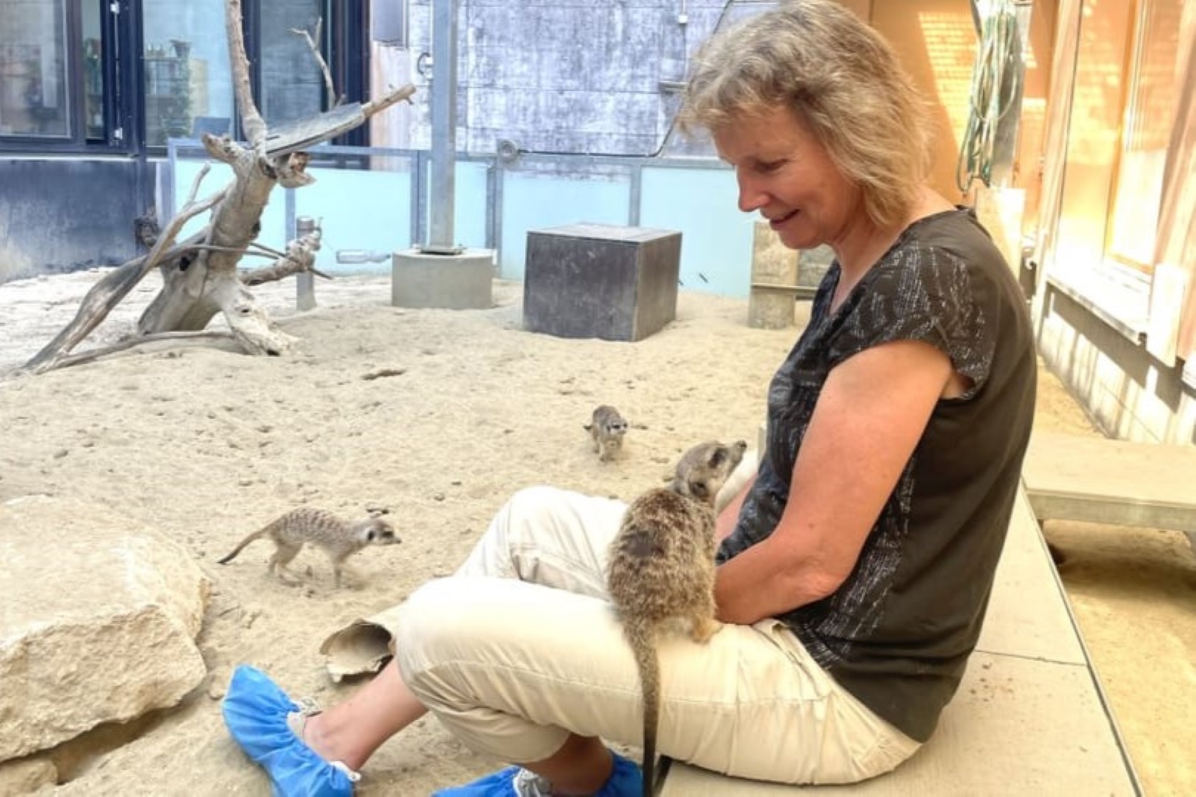 Hörbeitrag SRF Marta Manser