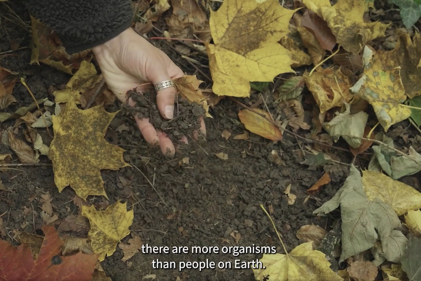 Film Studienprogramme Biodiversitaet