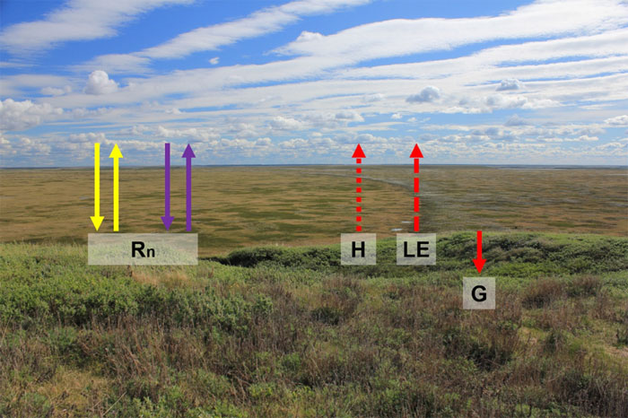 Energy Fluxes Fig. 1