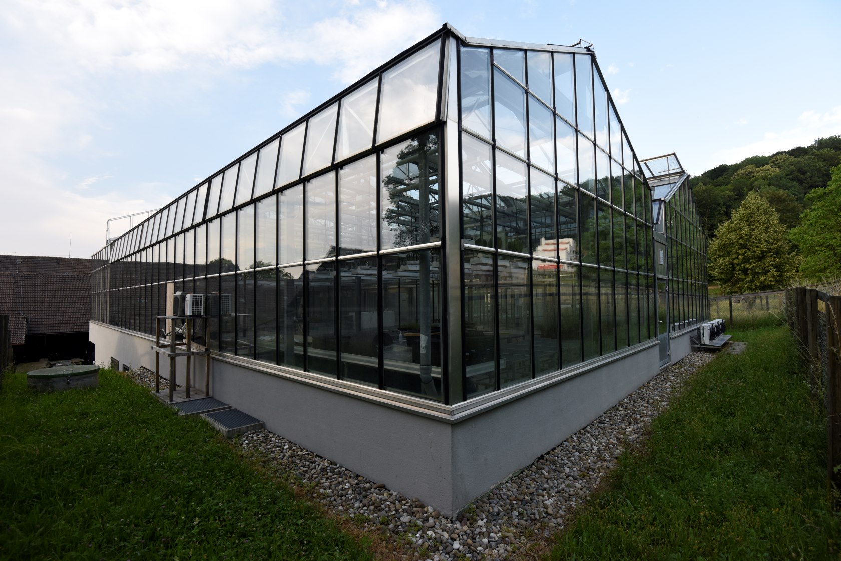 Impressions from the green house and common garden at Irchel campus. (Pictures: Matthias Furler and Rie Shimizu Inatsugi)